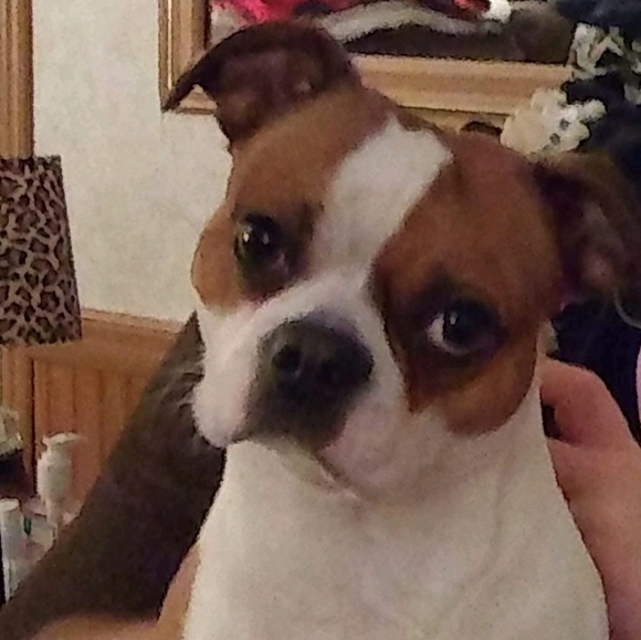 Meet your Posher, Erin - Picture 1 of 1